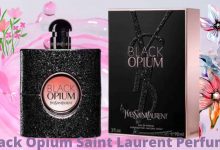 Saint Laurent Perfume Dossier co
